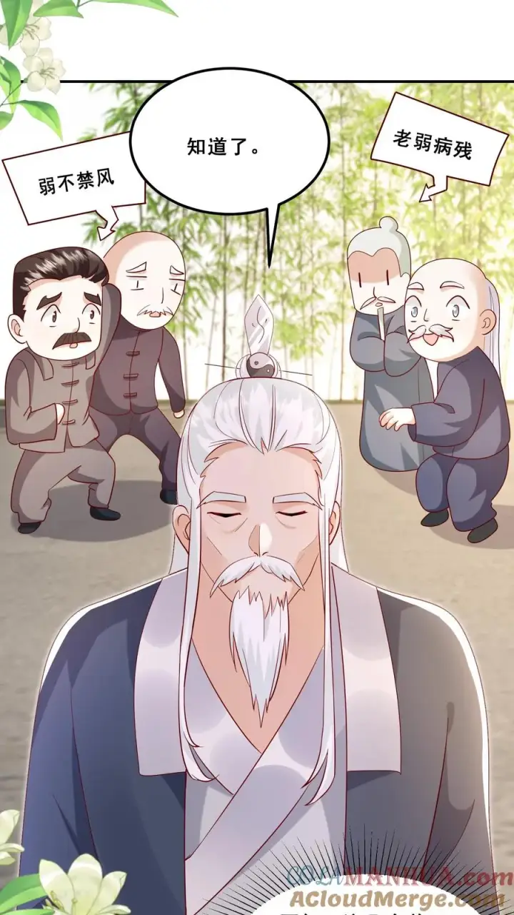 漫画《团宠萌宝：四岁小师傅下山了》第90话 老杂毛下山了第23张图