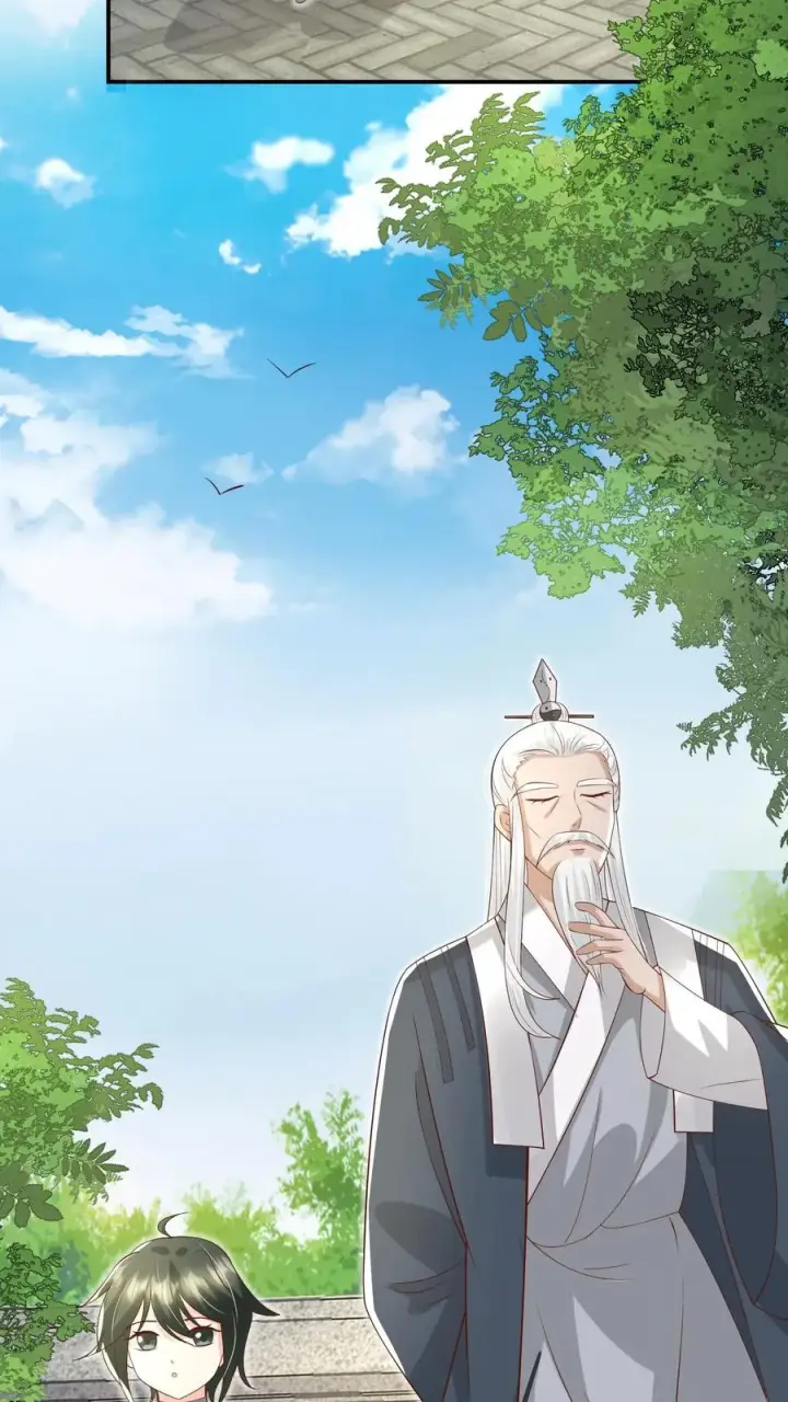 漫画《团宠萌宝：四岁小师傅下山了》第90话 老杂毛下山了第8张图
