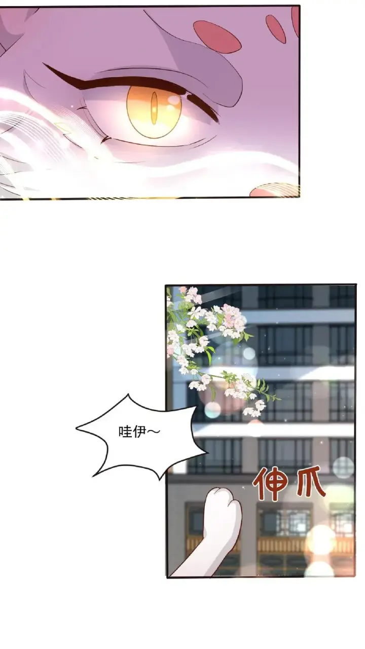 漫画《团宠萌宝：四岁小师傅下山了》第98话 狂飙第4张图