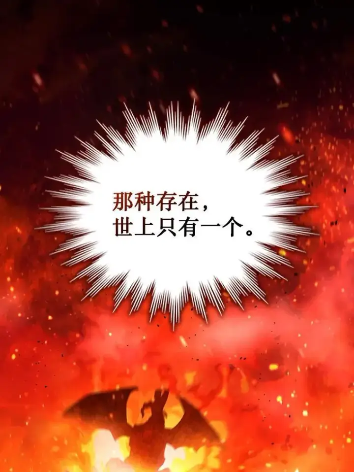 《吞龙魔法师》8.光的指引图74