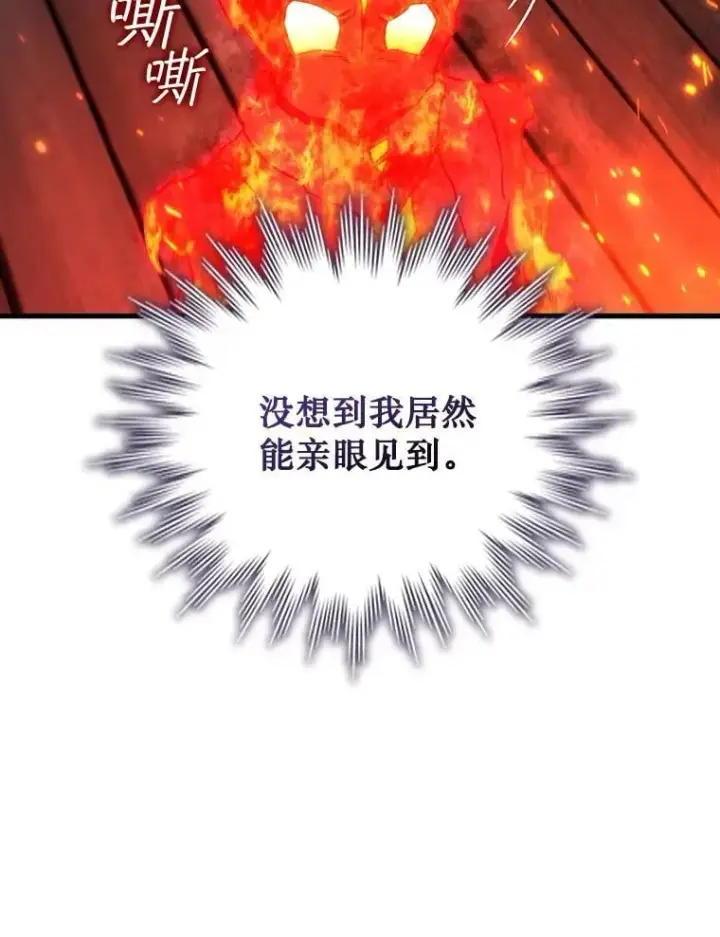 《吞龙魔法师》12.精灵的味道图37