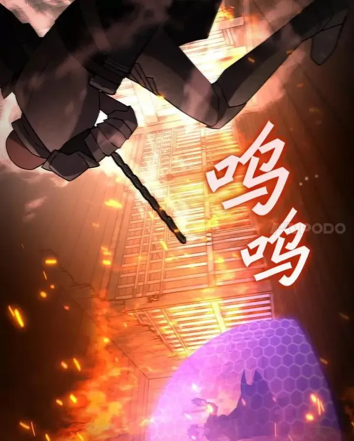 《吞龙魔法师》15.龙族混血图11