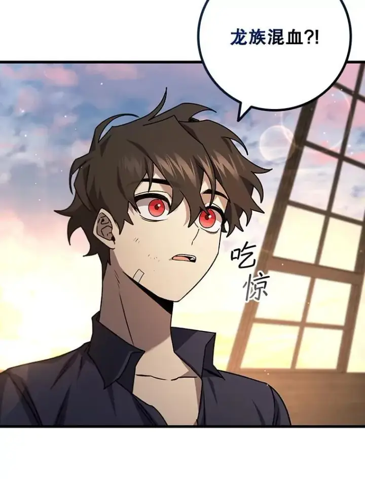 《吞龙魔法师》15.龙族混血图112