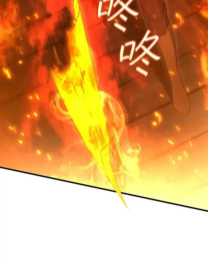 《吞龙魔法师》15.龙族混血图19