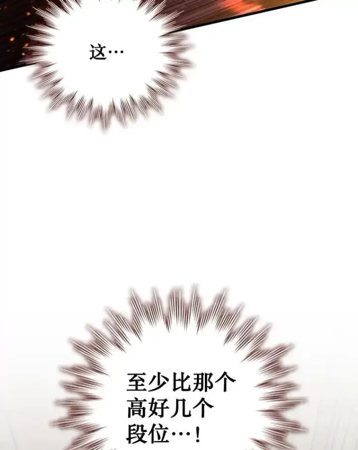 《吞龙魔法师》15.龙族混血图23