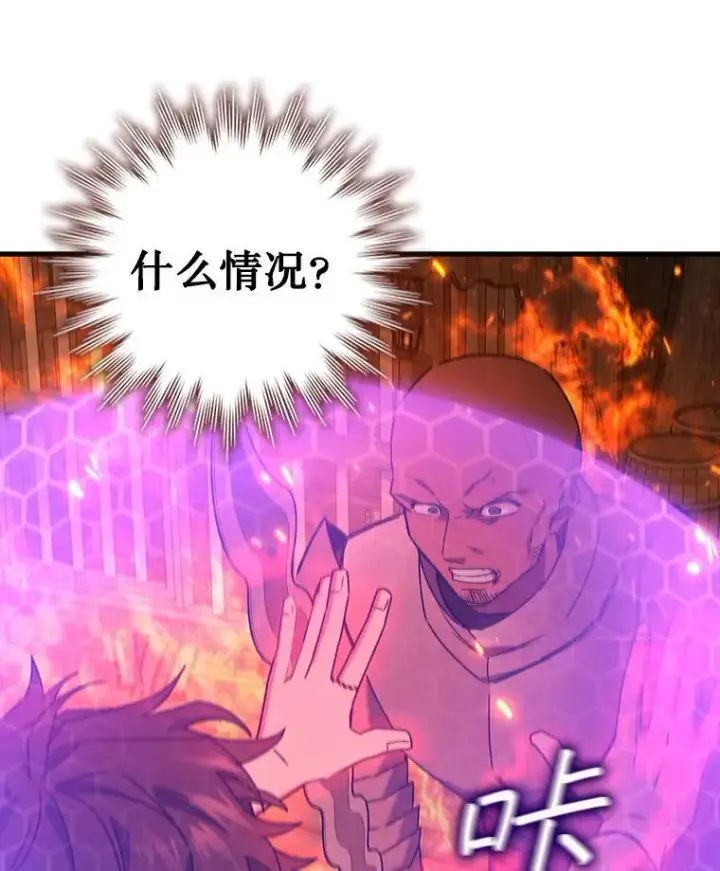 《吞龙魔法师》15.龙族混血图3