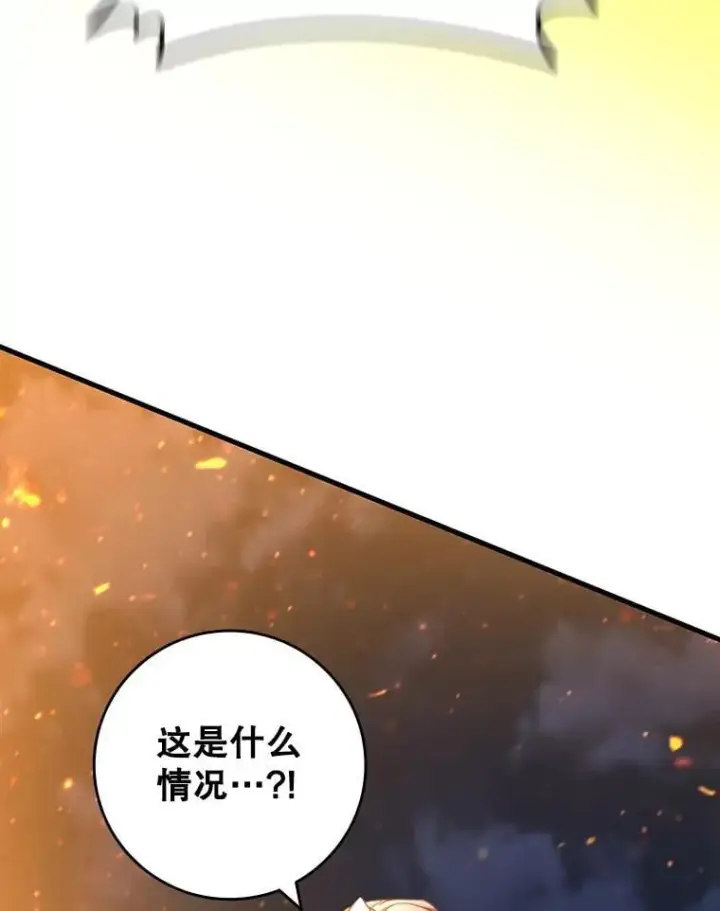《吞龙魔法师》15.龙族混血图55