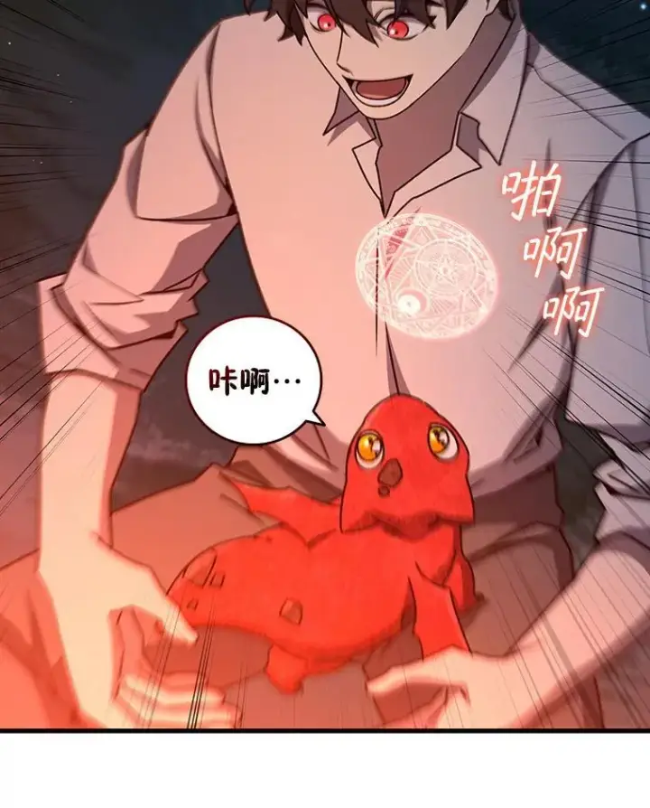 《吞龙魔法师》19.与精灵缔结契约图60