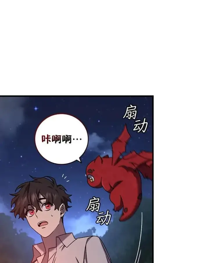《吞龙魔法师》19.与精灵缔结契约图68