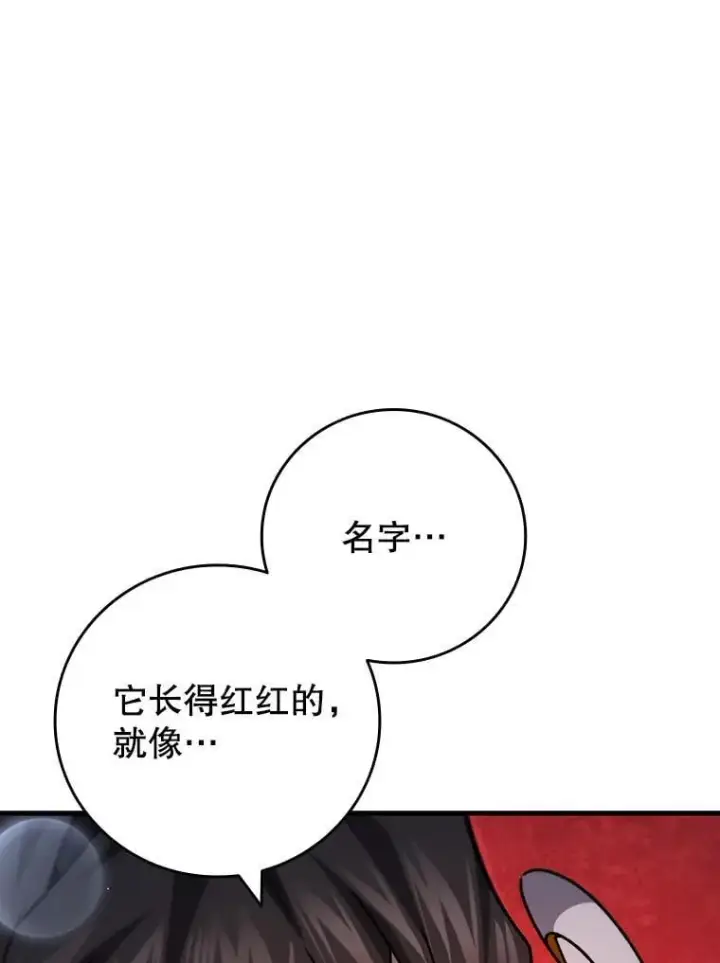 《吞龙魔法师》19.与精灵缔结契约图78