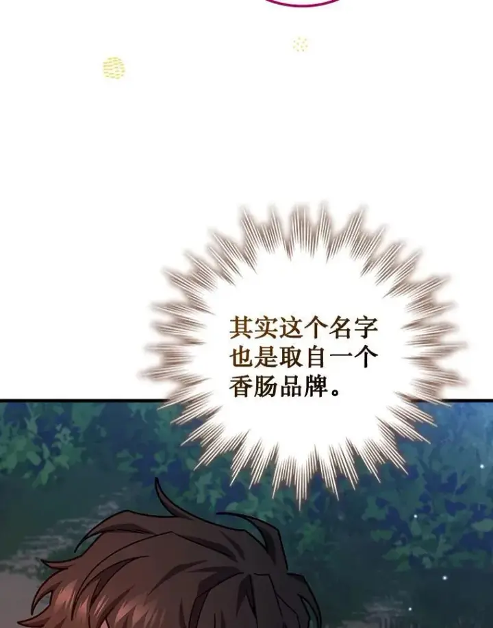 《吞龙魔法师》19.与精灵缔结契约图87