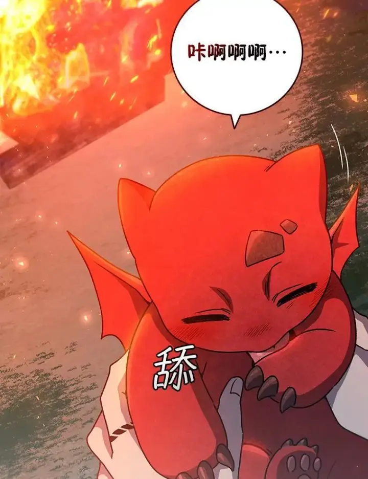 《吞龙魔法师》19.与精灵缔结契约图93