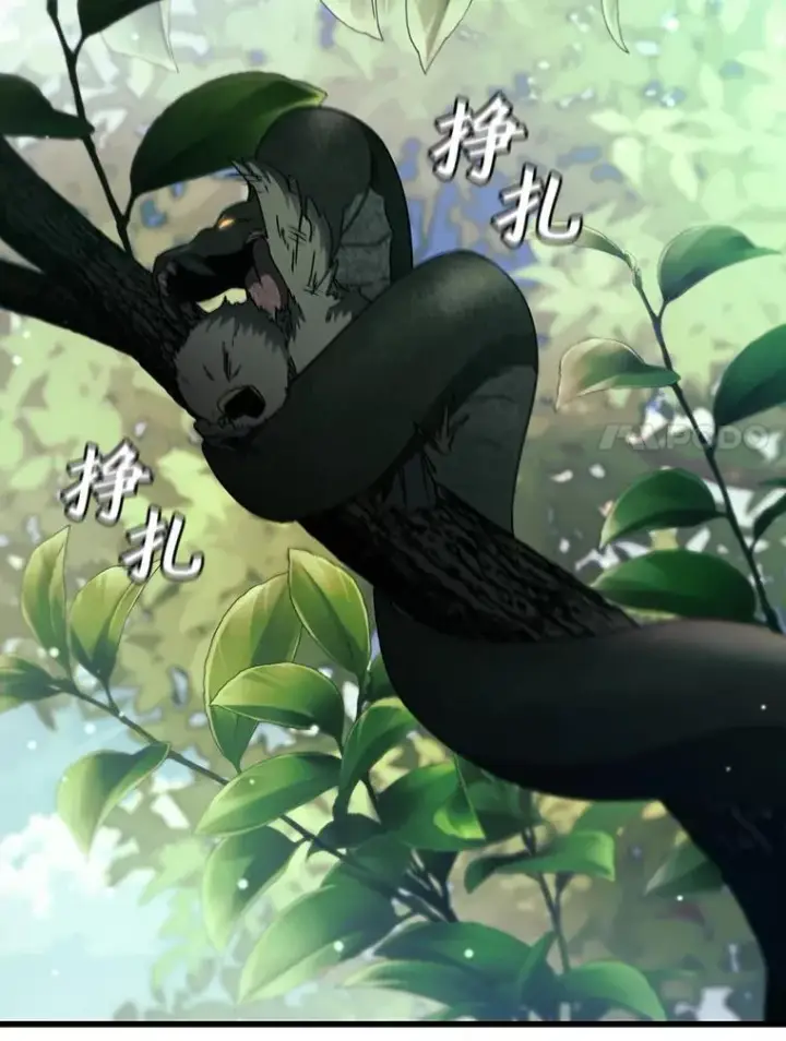 《吞龙魔法师》20.塔之选拔图62