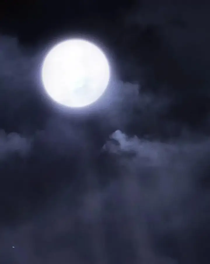 《吞龙魔法师》21.异教徒图25