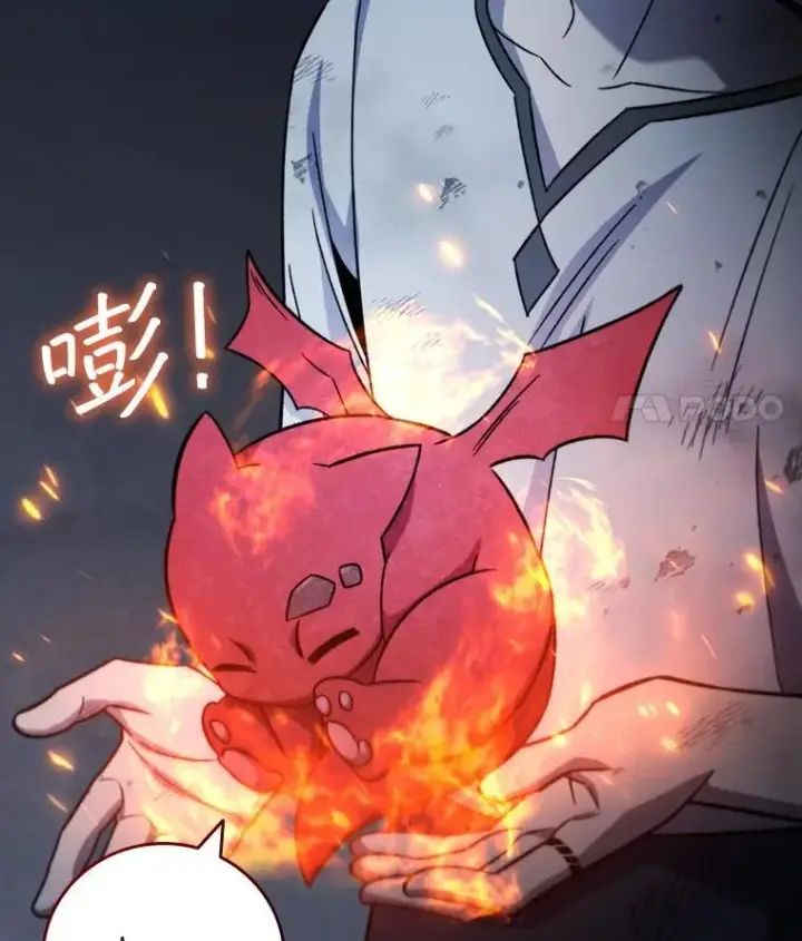 《吞龙魔法师》27.重生的原因图46