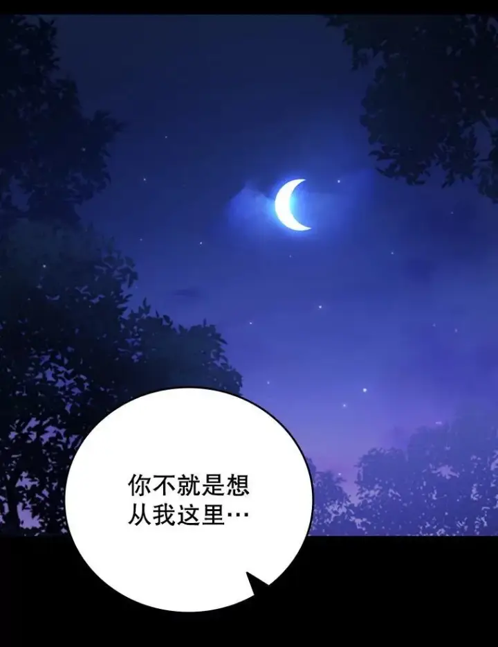 《吞龙魔法师》43.私生子图102