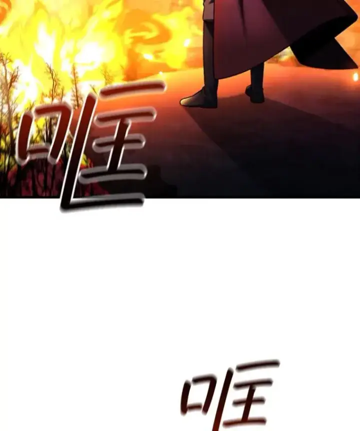 《吞龙魔法师》43.私生子图110