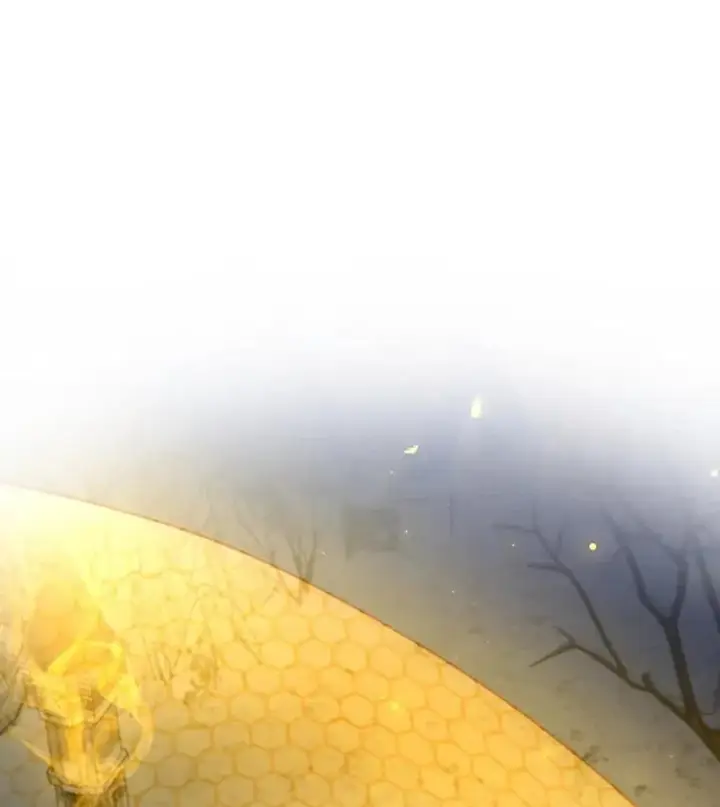 《吞龙魔法师》43.私生子图44