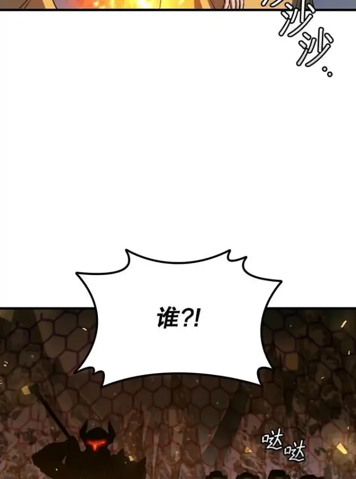 《吞龙魔法师》43.私生子图47
