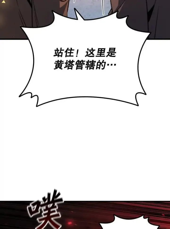 《吞龙魔法师》43.私生子图49