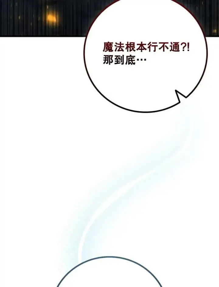《吞龙魔法师》43.私生子图8