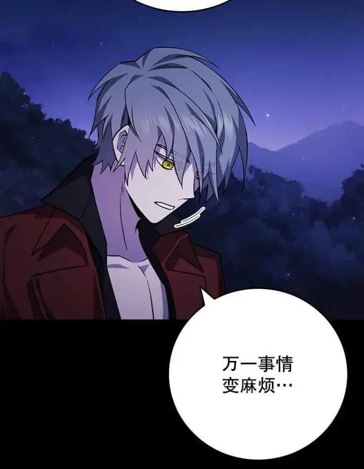 《吞龙魔法师》43.私生子图98