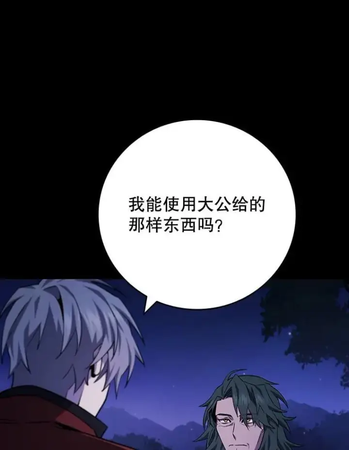 《吞龙魔法师》43.私生子图99
