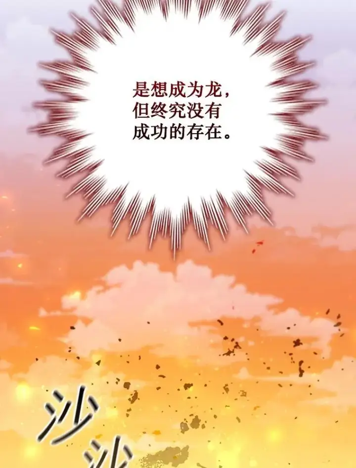 《吞龙魔法师》52.勇气图133