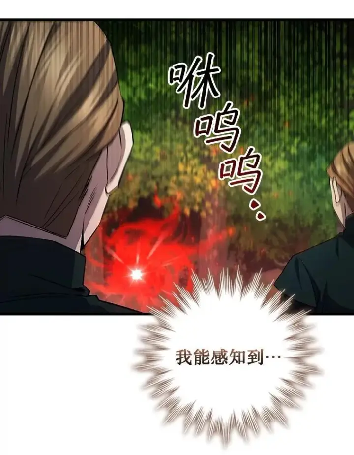 《吞龙魔法师》54.是他杀的图115
