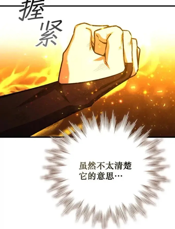 《吞龙魔法师》56.英雄诞生图16