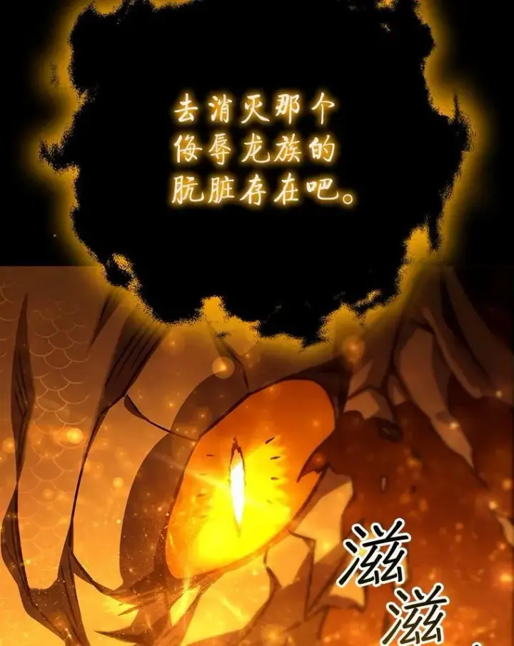 《吞龙魔法师》56.英雄诞生图6