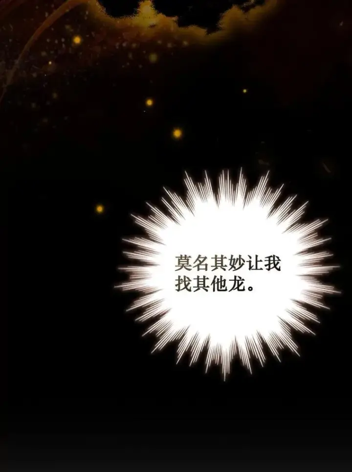 《吞龙魔法师》57.年下男图13