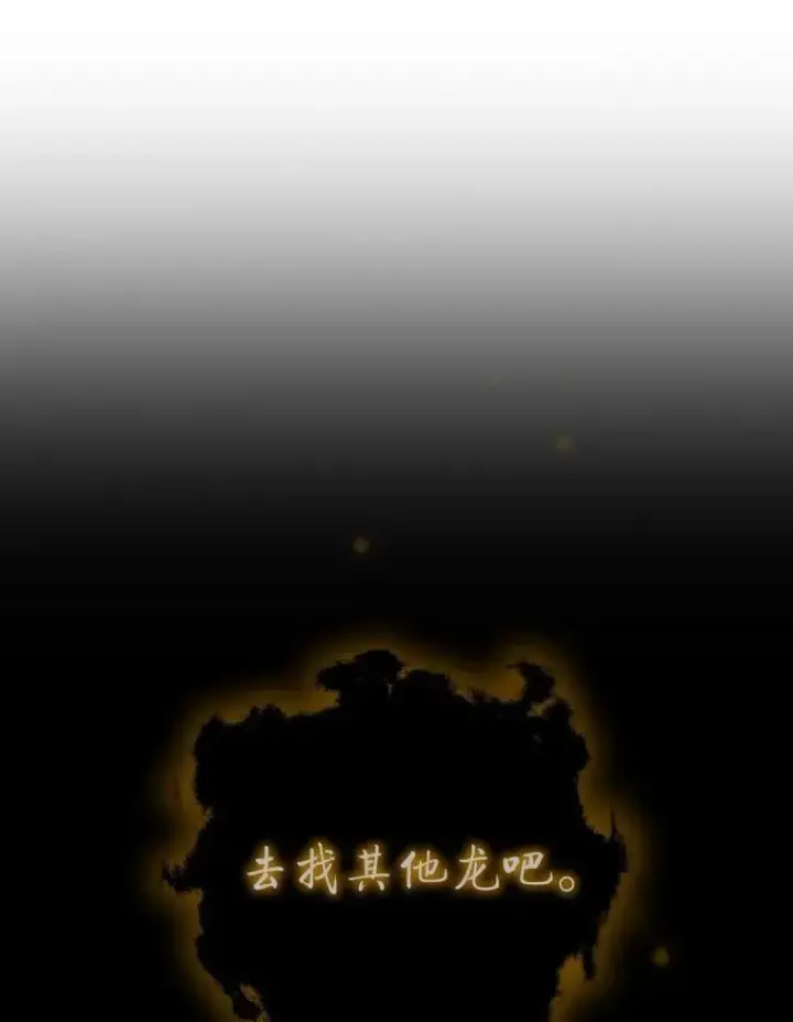 《吞龙魔法师》60.白塔塔主图105