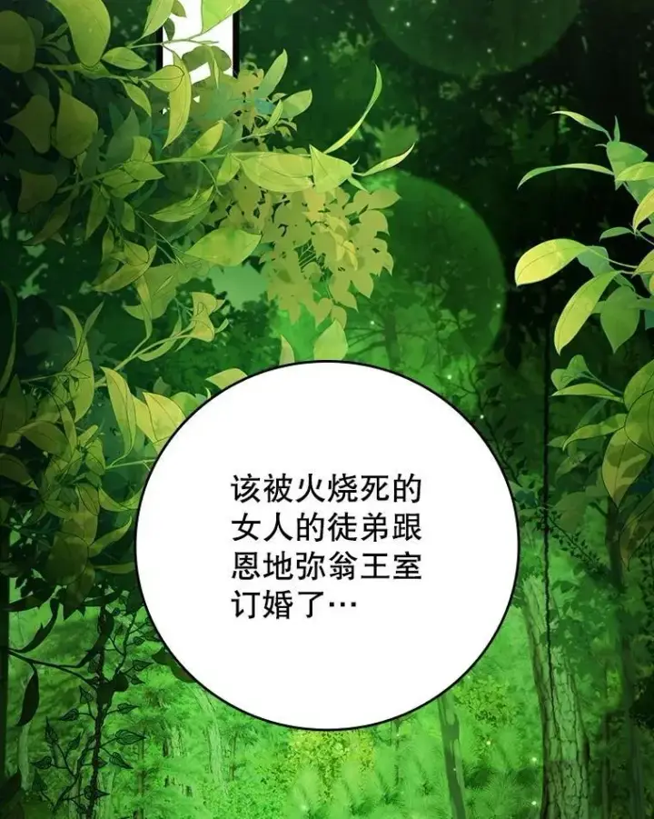 《吞龙魔法师》66.求婚图115