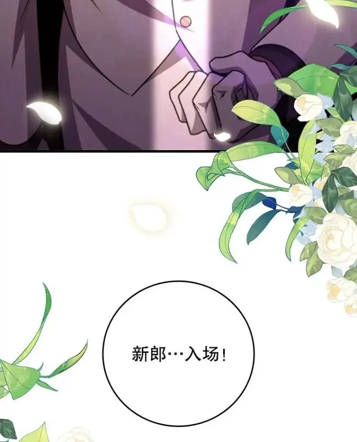 《吞龙魔法师》66.求婚图81