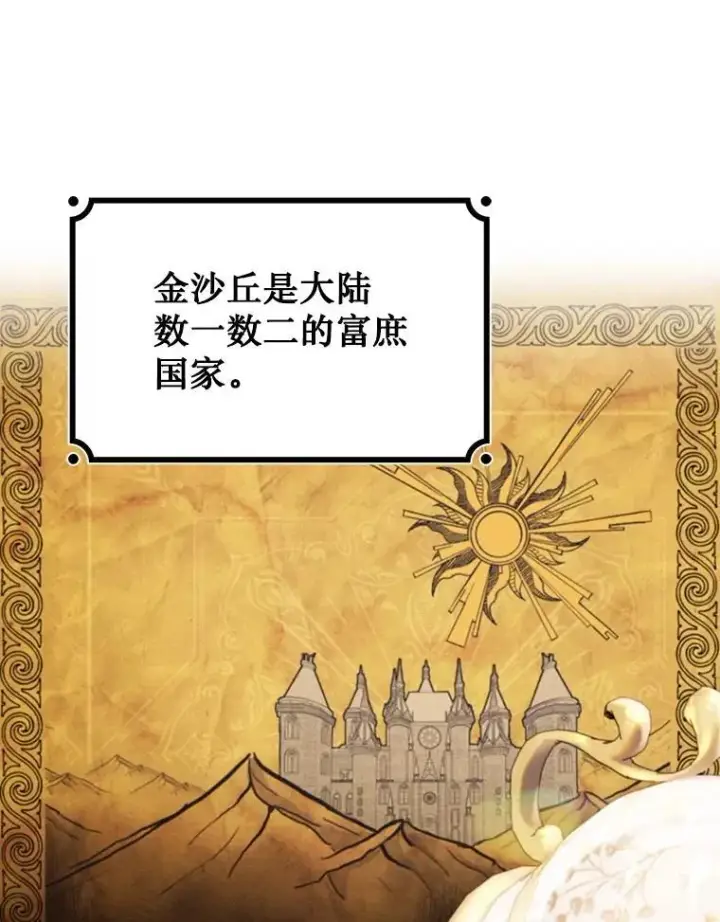 《吞龙魔法师》67.海盗图15