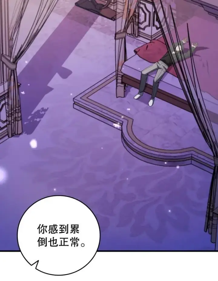 《吞龙魔法师》67.海盗图26