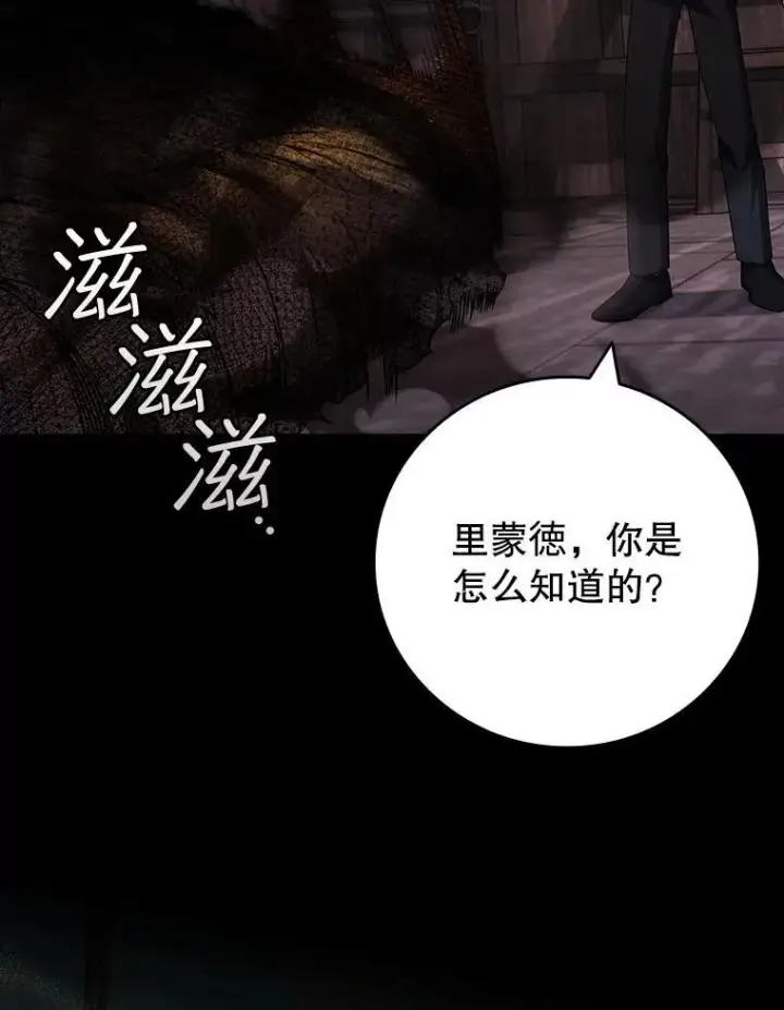 《吞龙魔法师》68.抵达库利尔岛图15