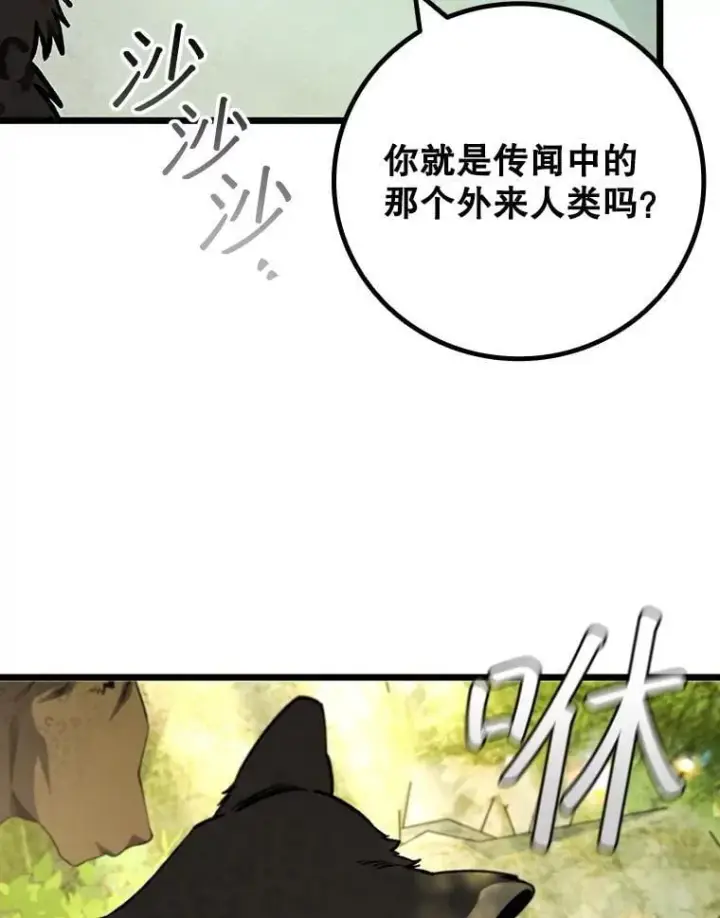 《吞龙魔法师》69.兽王的邀请图124