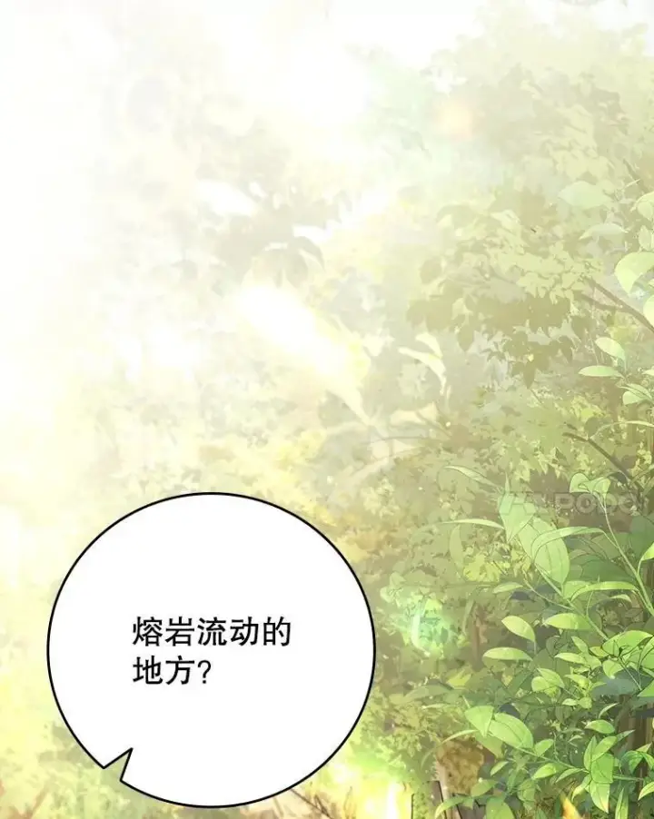 《吞龙魔法师》69.兽王的邀请图37
