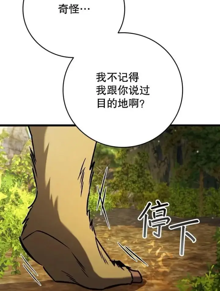 《吞龙魔法师》69.兽王的邀请图8
