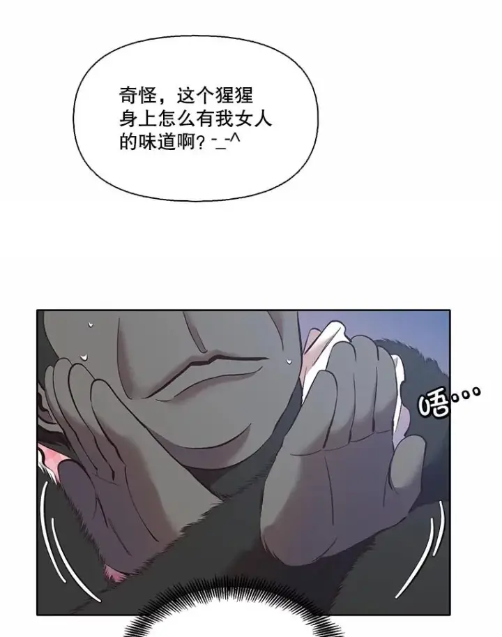 《网络小说出逃记》60.神秘的江辉英图44