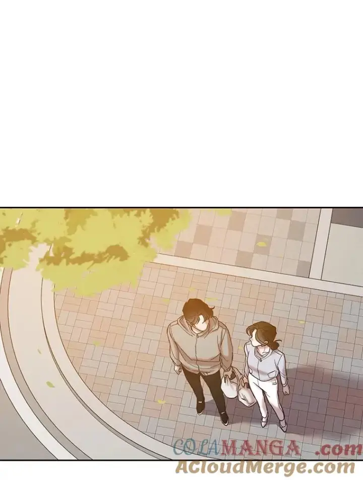 《网络小说出逃记》83.参加婚礼图61