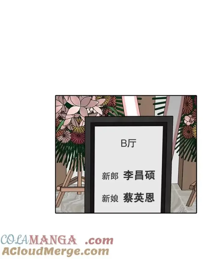 《网络小说出逃记》83.参加婚礼图88