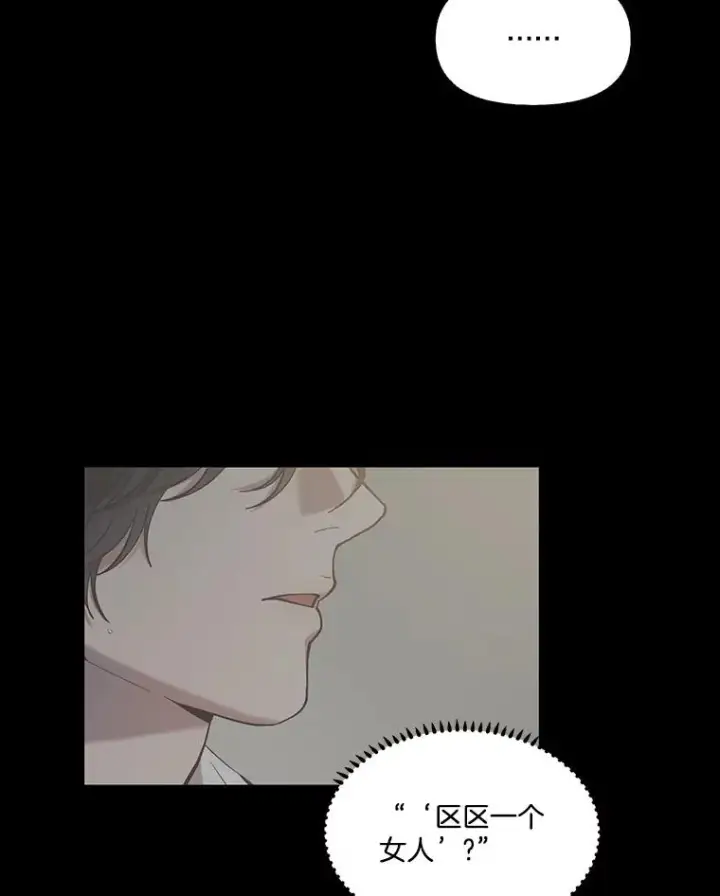 《网络小说出逃记》99.我喜欢江辉英图58