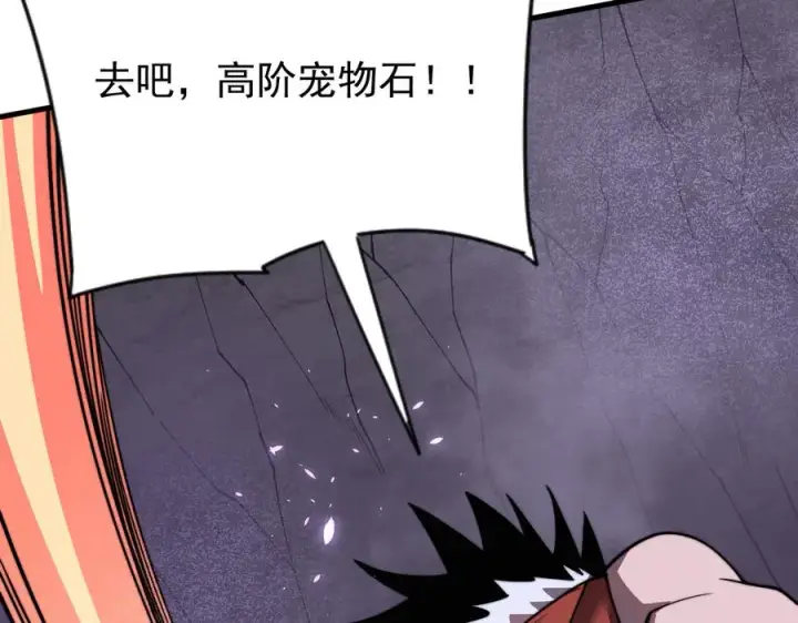 《网游：因为太浪，我成了全服公敌！》第98话 宠物捕捉图143