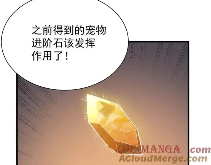 《网游：因为太浪，我成了全服公敌！》第99话 宠物进阶图25