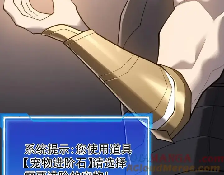 《网游：因为太浪，我成了全服公敌！》第99话 宠物进阶图29