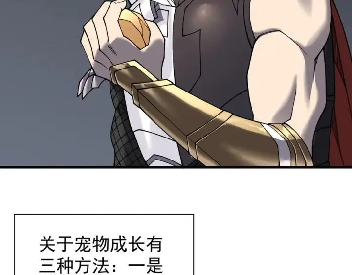 《网游：因为太浪，我成了全服公敌！》第99话 宠物进阶图96