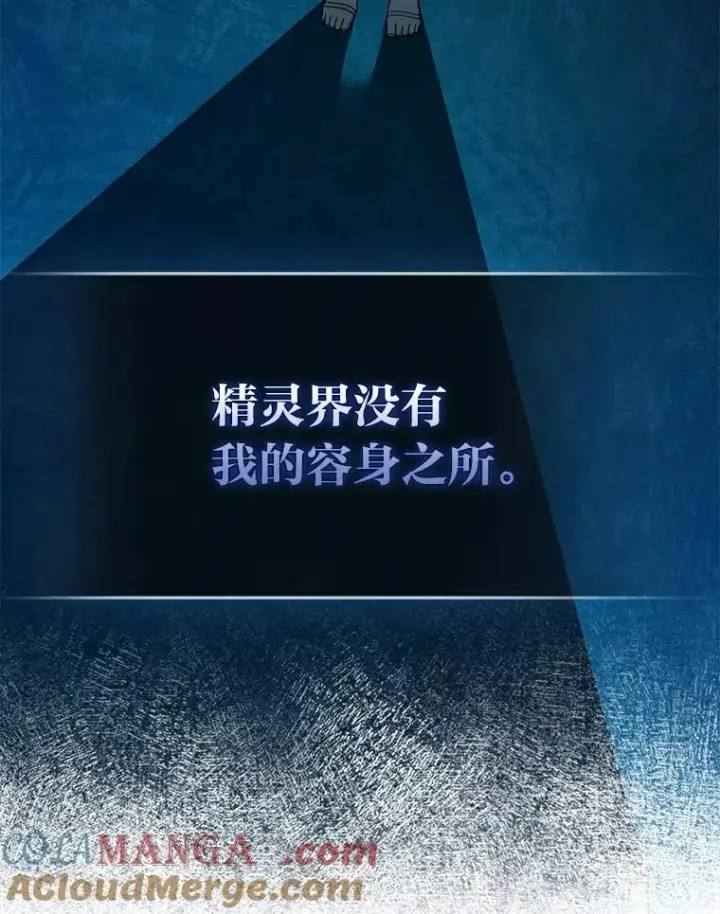 漫画《完美演绎养女角色》57.与精灵缔约第33张图